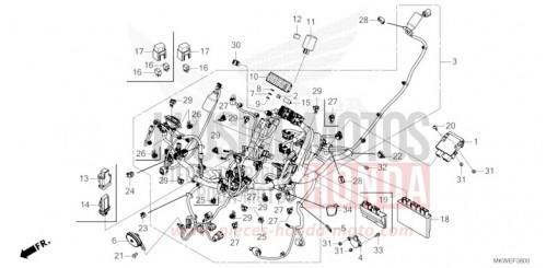 KABELBAUM NC750XDS de 2025