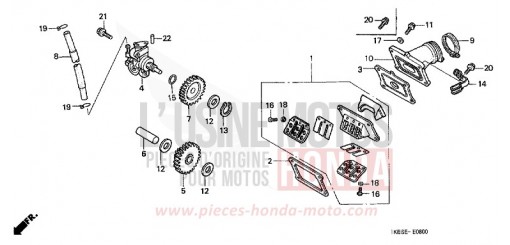 OELPUMPE/PLAETTCHENVENTIL NSR125R1 de 2001