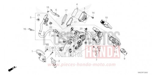 KABELBAUM CRF450RXR de 2024