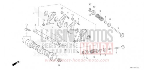 NOCKENWELLE/VENTIL NSS750R de 2024