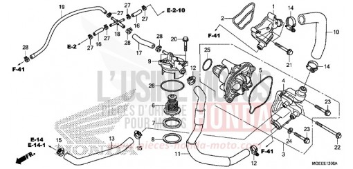 WASSERPUMPE VFR1200FF de 2015