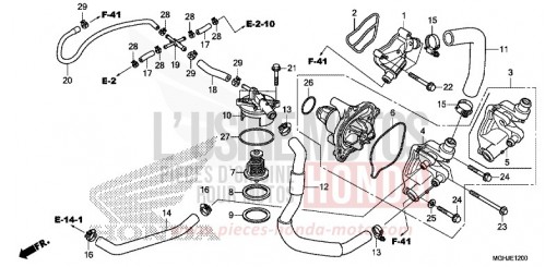 WASSERPUMPE VFR1200XJ de 2018