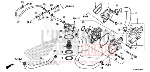 WASSERPUMPE VFR1200XLG de 2016