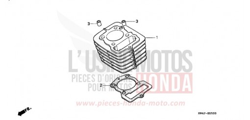 ZYLINDER XR100R1 de 2001