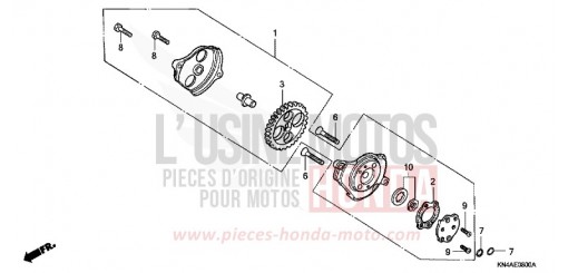 OELPUMPE XR100R3 de 2003