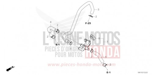 LUFTEINSPRITZ-STEUERVENTIL CBR650RACR de 2024