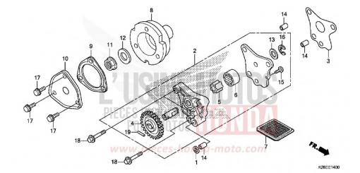 OELPUMPE CRF125FBP de 2024
