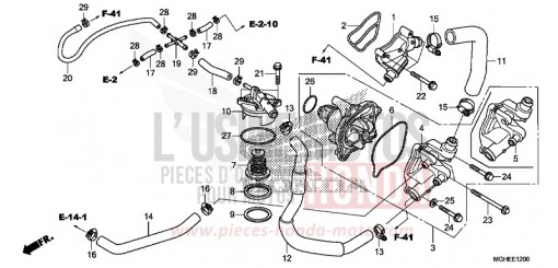 WASSERPUMPE VFR1200XDE de 2014