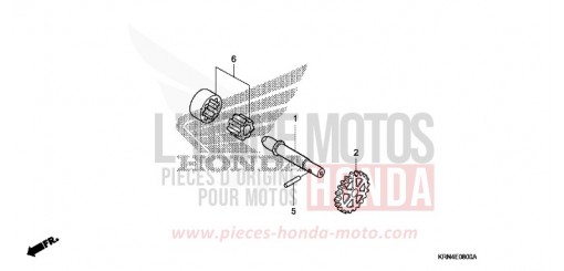 OELPUMPE CRF250R4 de 2004