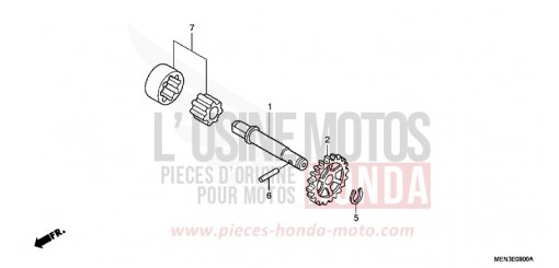 OELPUMPE CRF450RC de 2012