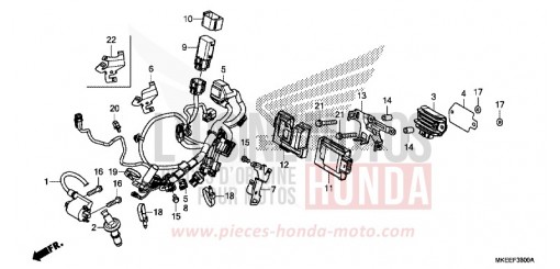 KABELBAUM CRF450RK de 2019