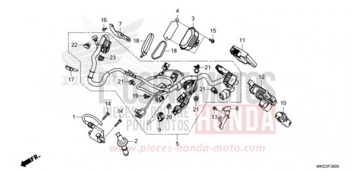 KABELBAUM CRF450RXN de 2022