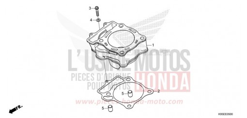 ZYLINDER CRF250RN de 2022