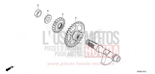 AUSGLEICHER CRF250RN de 2022