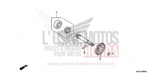 OELPUMPE CRF150RD de 2013