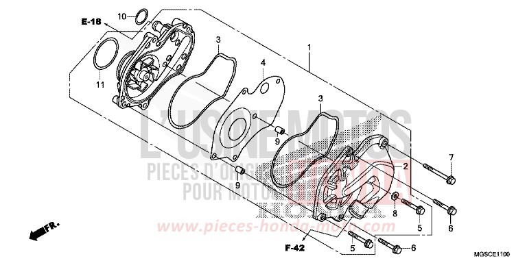 WASSERPUMPE von Integra PEARL SUNBEAM WHITE (NHA66) von 2013