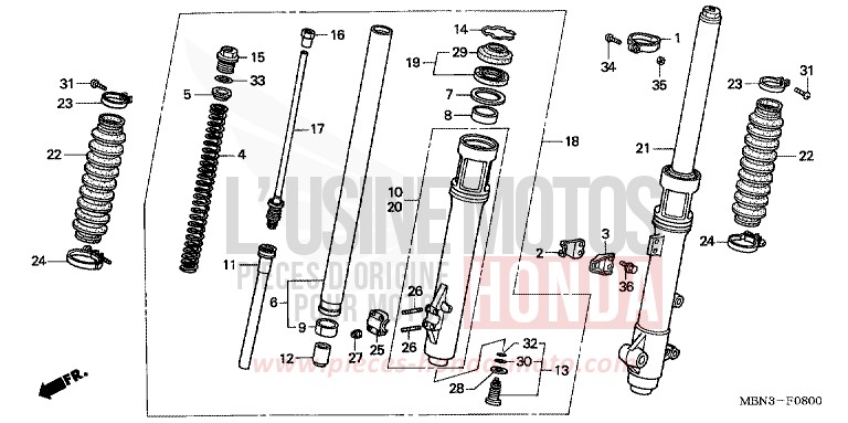 GABEL, VORNE von XR650R FIGHTING RED (R134) von 2001