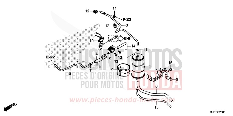 CUVETTE von GL1800 MAT BALLISTIC BLACK METALLIC (NHA86K) von 2020