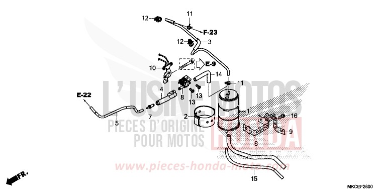 CUVETTE von GL1800 DARKNESS BLACK METALLIC (NH463) von 2019