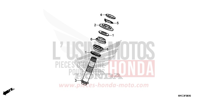 TIGE D'ARBRE von GL1800 CANDY ARDENT RED (R367B) von 2018