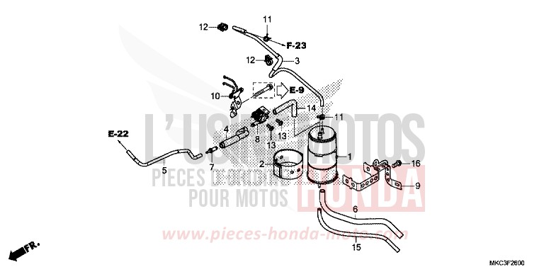 CUVETTE von GL1800 DARKNESS BLACK METALLIC (NH463) von 2018