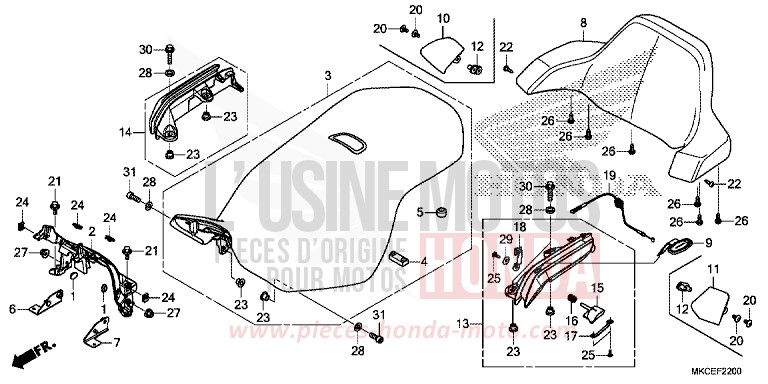 SIEGE von GL1800 CANDY ARDENT RED (R367B) von 2019