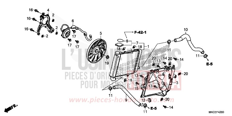 RADIATEUR (D.) von GL1800 CANDY ARDENT RED (R367B) von 2019