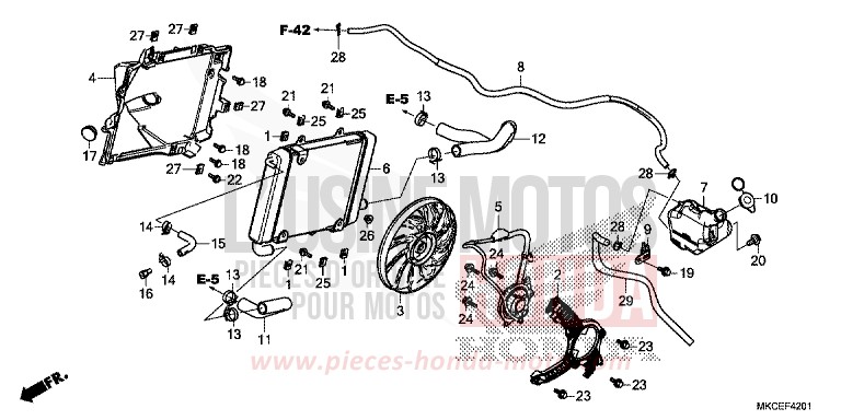 RADIATEUR (G.) von GL1800 CANDY ARDENT RED (R367B) von 2019