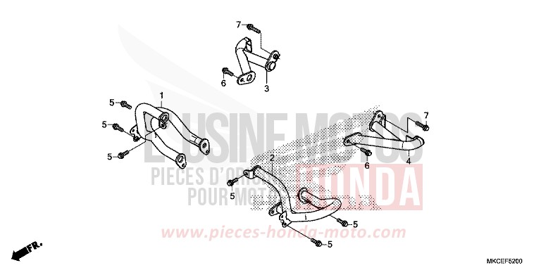 PROTECTION DE MOTEUR von GL1800 CANDY ARDENT RED (R367B) von 2019