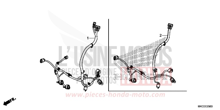 CORDON AUXILIAIRE von GL1800 DARKNESS BLACK METALLIC (NH463) von 2019