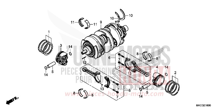 VILEBREQUIN/PISTON von GL1800 PEARL GLARE WHITE (NHB53E) von 2020