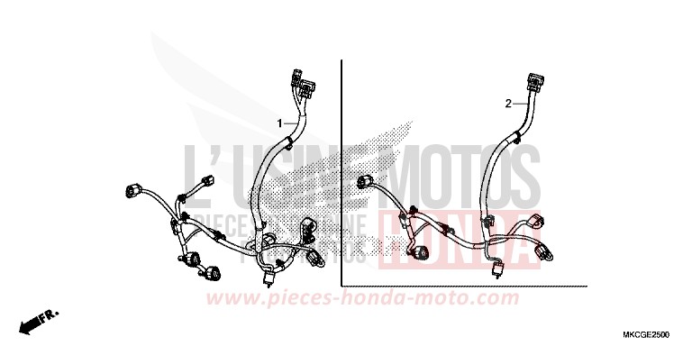 CORDON AUXILIAIRE von GL1800 DARKNESS BLACK METALLIC (NH463D) von 2020