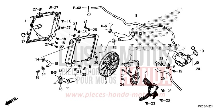 RADIATEUR (G.) von GL1800 DARKNESS BLACK METALLIC (NH463D) von 2020