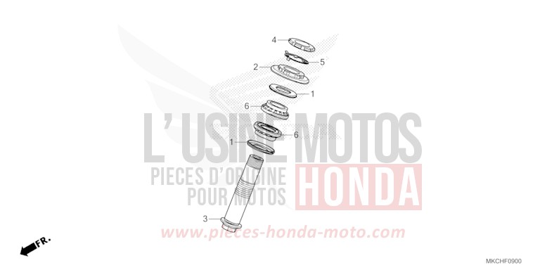 TIGE D'ARBRE von GL1800 CANDY ARDENT RED (R367B) von 2021