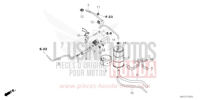 CUVETTE von GL1800 GUNMETAL BLACK METLLIC (NHC52B) von 2022