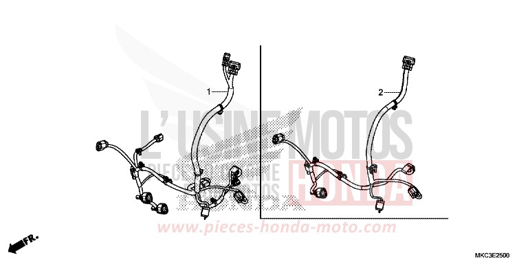 CORDON AUXILIAIRE von GL1800 CANDY ARDENT RED (R367) von 2018