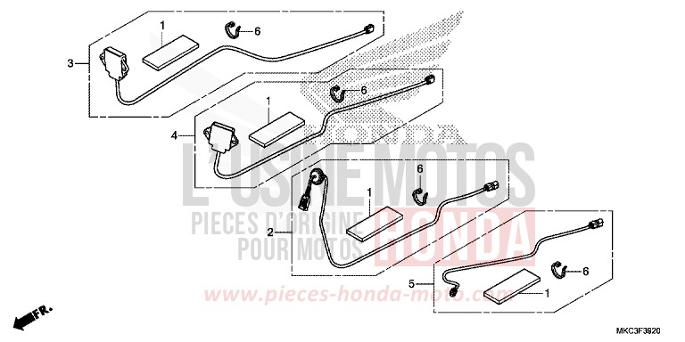 ENSEMBLE ANTENNE/JEU DE CORDONS von GL1800 PEARL GLARE WHITE (NHB53) von 2018