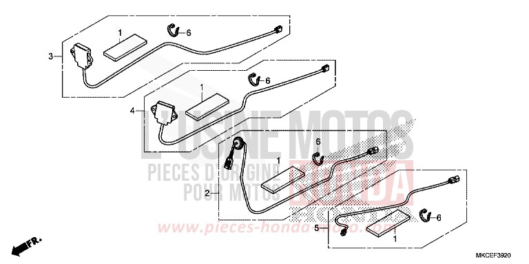 ENSEMBLE ANTENNE/JEU DE CORDONS von GL1800 DARKNESS BLACK METALLIC (NH463) von 2019