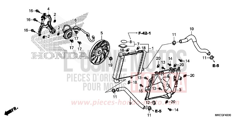 RADIATEUR (D.) von GL1800 CANDY ARDENT RED (R367) von 2020