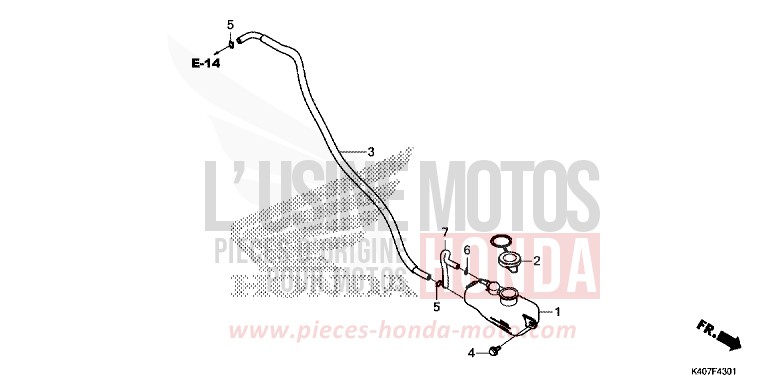 RESERVETANK (NSS125ADK) von Forza MAT CARNELIAN RED METALLIC (R384) von 2019