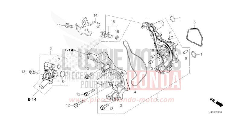 WASSERPUMPE von Forza PEARL NIGHTSTAR BLACK (NHA84) von 2021