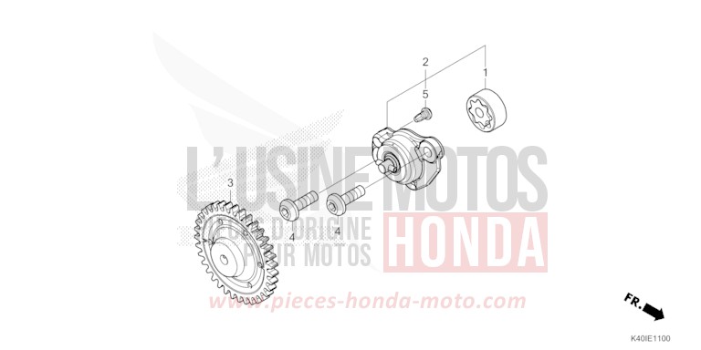 OELPUMPE von Forza MAT CYNOS GRAY METALLIC (NH312) von 2021