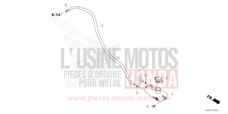 RESERVETANK von Forza PEARL NIGHTSTAR BLACK (NHA84) von 2022