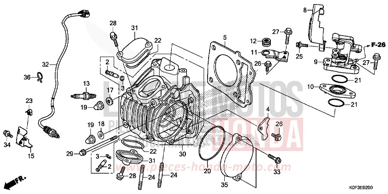 ZYLINDERKOPF von Monkey BANANA YELLOW (YR354) von 2019