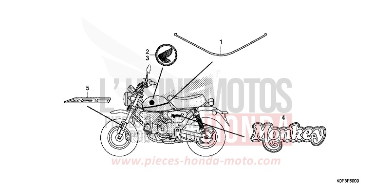 MARKE/STREIFEN von Monkey BANANA YELLOW (YR354) von 2019