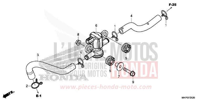 LUFTEINBLASMAGNETVENTIL von CB500F MAT GUNPOWDER BLACK METALLIC (NH436) von 2021