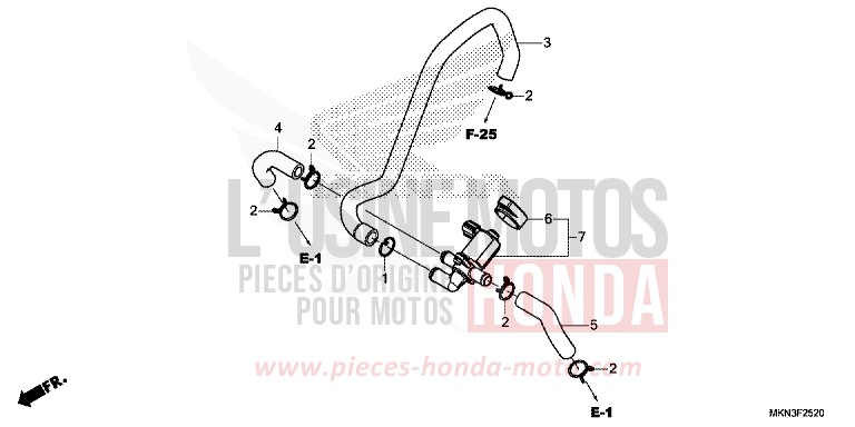 LUFTEINSPRITZ-STEUERVENTIL von CB650R MAT CRYPTON SILVER MATALLIC (NHA40) von 2019