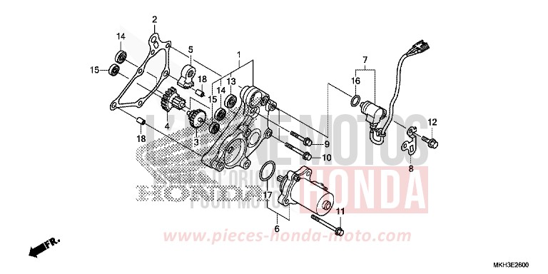 DEMULTIPLICATEUR von X-ADV MAT BULLET SILVER (NH389) von 2020