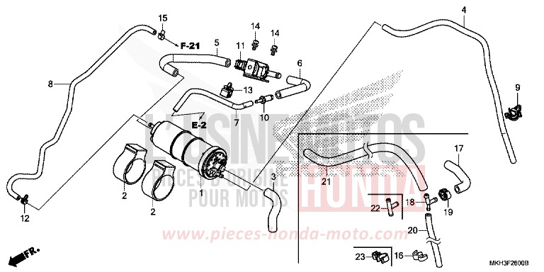 CUVETTE von X-ADV MAT MOONSTONE SILVER METALLIC (NH378) von 2020