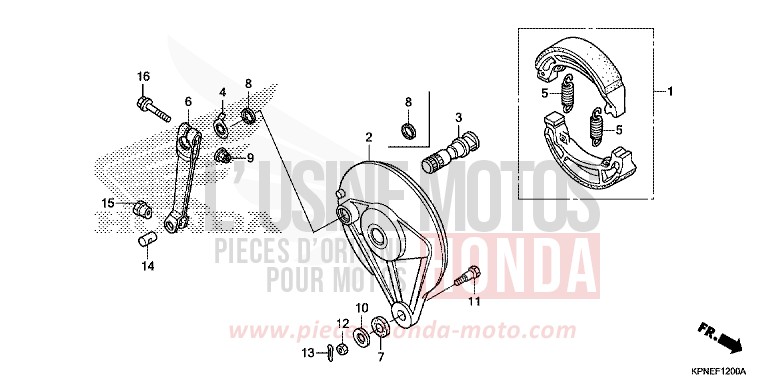 BREMSPLATTE, HINTEN von CBF125 PEARL SUNBEAM WHITE (NHA66) von 2015